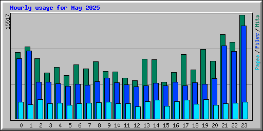 Hourly usage for May 2025